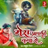 About Mera Aapki Kripa Se Song